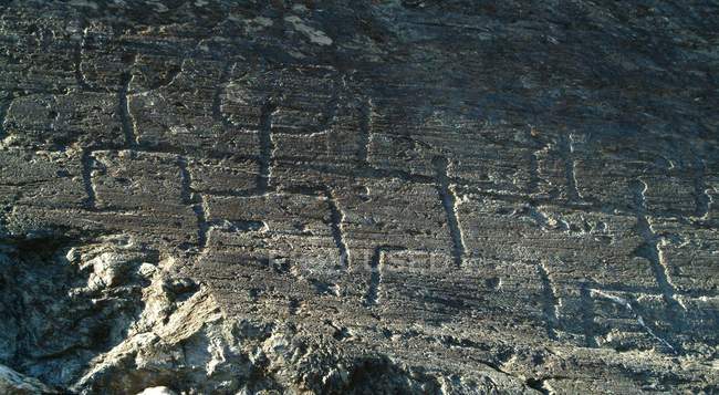 Petroglifos en la Reserva Natural de Grosio, Valtellina, Lombardía, Italia, Europa - foto de stock