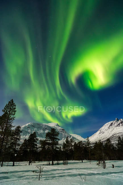 Las Luces del Norte Iluminando el Rincón Kick Lofoten Islands paisaje, Ártico, Noruega, Escandinavia, Europa - foto de stock