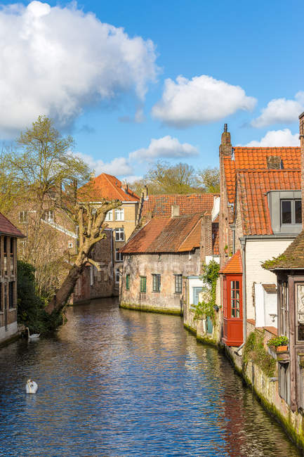Дома и каналы, Брюгге, Бельгия, Европа — стоковое фото