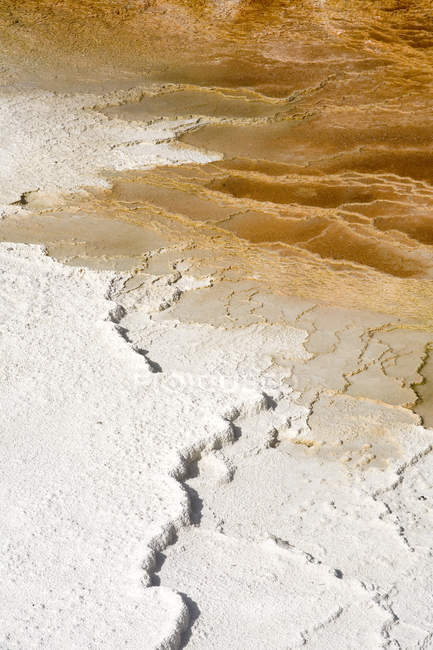 Bakterienaktivität, Mammut-Thermalquellen, Yellowstone-Nationalpark, Wyoming, Vereinigte Staaten von Amerika (USA), Nordamerika — Stockfoto