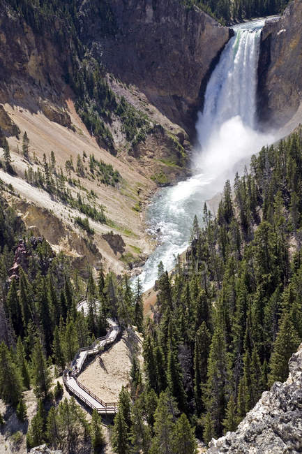 Gran Canyon and Lower Falls, Yellowstone National Park, Wyoming, Estados Unidos da América (EUA), Estados Unidos da América — Fotografia de Stock