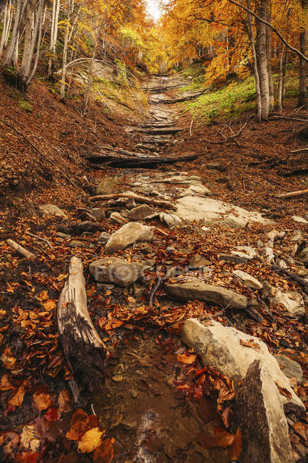 Vue des chutes de Morricana dans la forêt de bois de Bosco della Morricana entourée par un thème d'automne à Ceppo, Abruzzes, Italie — Photo de stock
