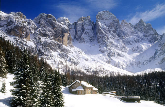 Paneveggio pale di san martino park, Provinz Trento, Trentino, Italien — Stockfoto