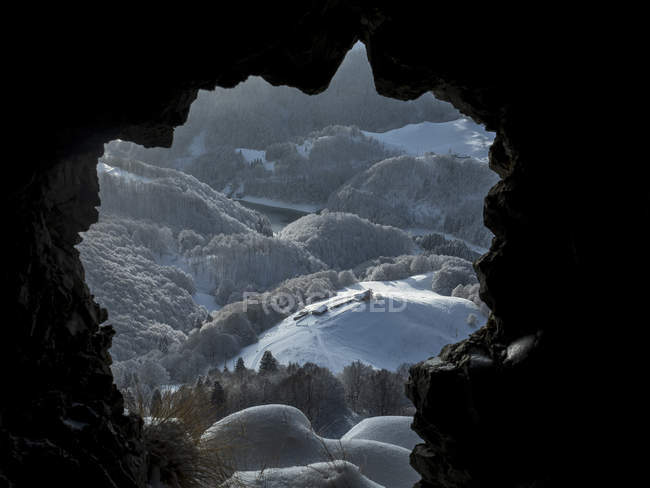 Bosco innevato a San Valentino, Altopiano di Brentonico, Monte Baldo, Trentino, Italia, Europa — Foto stock