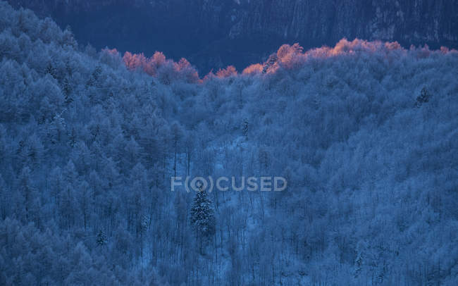 Paisaje invernal en Lessinia Monti Lessini, Vallagarina, Trentino, Italia Europa - foto de stock