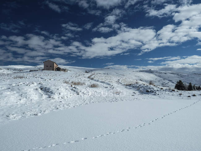 Spur des Hasen im Schnee auf der alm coe veronese, lessinia, monti lessini, trentino, italien, europa — Stockfoto