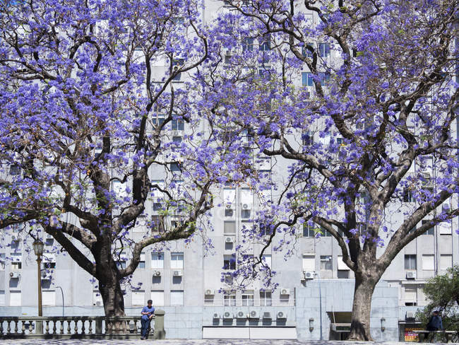 The quarter  Retiro, Edificio Kavanagh buildt 1934- 1936 on Calle Florida.   Buenos Aires, the capital of Argentina. South America, Argentina, November — Stock Photo