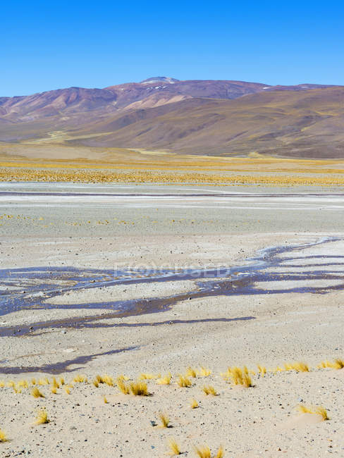 O Altiplano argentino ao longo da Rota 51 entre Antonio de los Cobres e Olcapato. América do Sul, Argentina — Fotografia de Stock