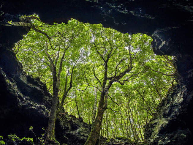 Lava tube Gruta das Torres, collapsed ceiling. Pico Island, an island in the Azores (Ilhas dos Acores) in the Atlantic ocean. The Azores are an autonomous region of Portugal. Europe, Portugal, Azores — Stock Photo