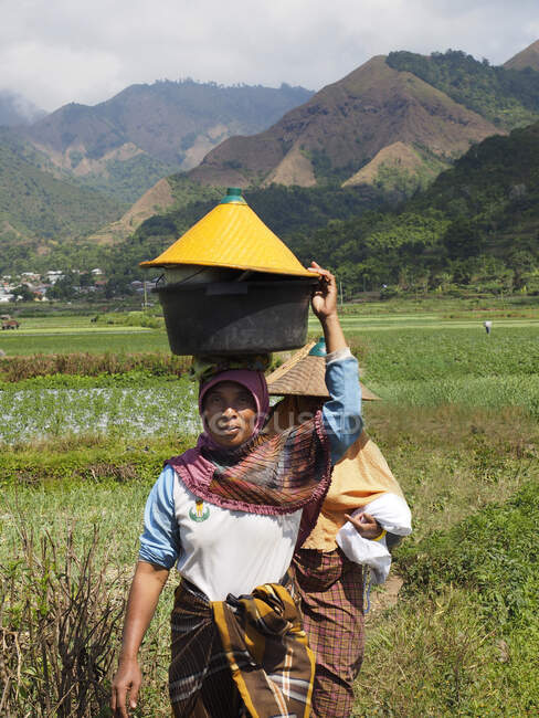 Ouvrières Champs cultivés dans le nord de Lombok, Bayan, île de Lombok, Indonésie, Asie — Photo de stock