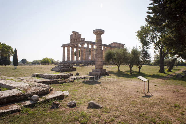 Temple of Athena, Paestum archeological area, UNESCO, World Heritage Site, province of Salerno, Campania, Italy, Europe — Stock Photo