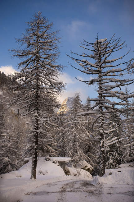 Chetif montagne, Courmayeur, Val Ferret, Vallée d'Aoste, Italie — Photo de stock