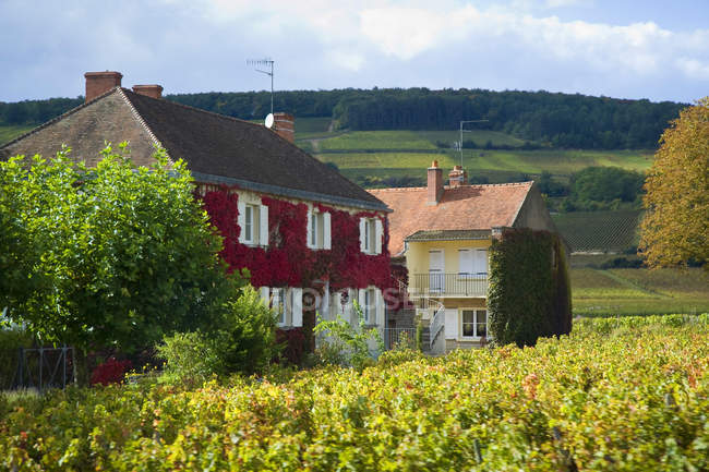 Beaune, Bourgogne, Bourgogne, France, Europe — Photo de stock
