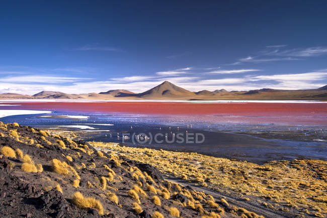 Laguna colorada, eduardo avaroa anddean fauna national reserve, südlipez, potos, uyuni, bolivien, südamerika — Stockfoto