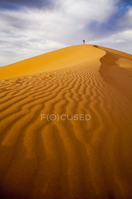 Désert du Sahara, Maroc, Afrique du Nord — Photo de stock