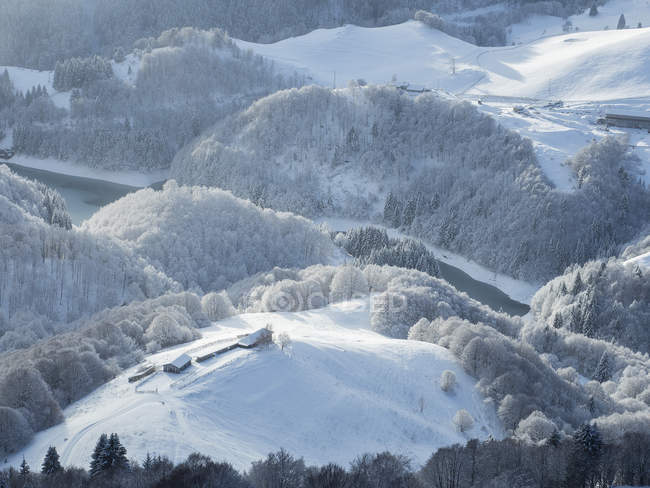 Schneebedeckter wald bei san valentino, pra da stua see, hochebene von brentonico, monte baldo, trentino, italien, europa — Stockfoto