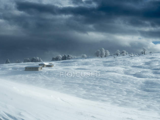Снежный пейзаж в Bes alm на плато Брентонико, Мбалдо, Трентино, Италия, Европа — стоковое фото