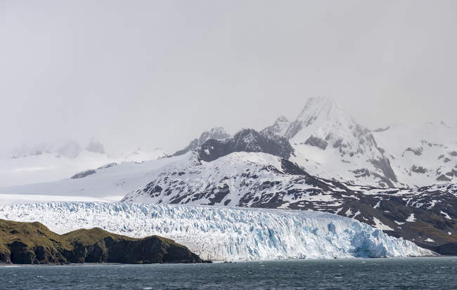 Льодовик Фортуна на Кейп-Бест. Антарктида, Субантарктика, Південна Джорджія, жовтень — стокове фото