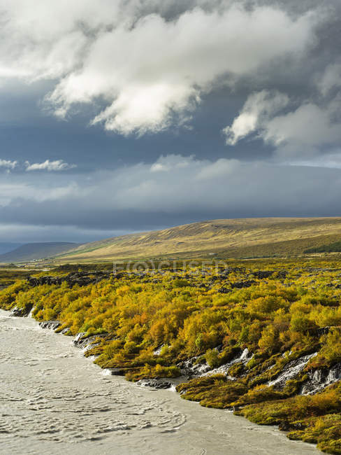 Водоспад Грауніфосс з барвистими фолавіми восени. Європа, Північна Європа, Ісландія, вересень — стокове фото