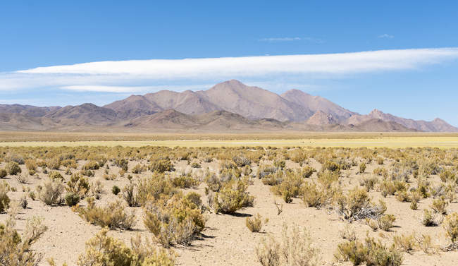 Paesaggio vicino alle saline Salinas Grandes nell'Altipiano. Sud America, Argentina — Foto stock