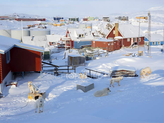 Town Ilulissat en la orilla de la bahía de Disko en el oeste de Groenlandia, centro de turismo, administración y economía. El fiordo de hielo cercano está catalogado como patrimonio mundial de la UNESCO. América, América del Norte, Groenlandia, Dinamarca - foto de stock