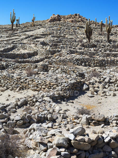 Rovine Inca di Tastil, Routa 51 vicino a Salta. Tastil fa parte del vecchio sistema stradale Inca. Sud America, Argentina — Foto stock