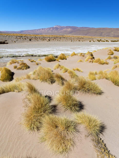 Das argentinische altiplano entlang der routa 51 zwischen antonio de los cobres und olcapato. Südamerika, Argentinien — Stockfoto