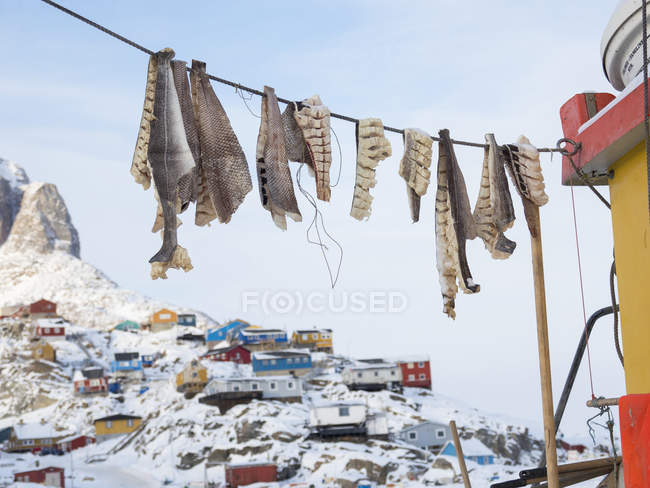Ciudad Uummannaq durante el invierno en el norte de Groenlandia. Nave con pescado seco en el puerto congelado. América, América del Norte, Dinamarca, Groenlandia - foto de stock