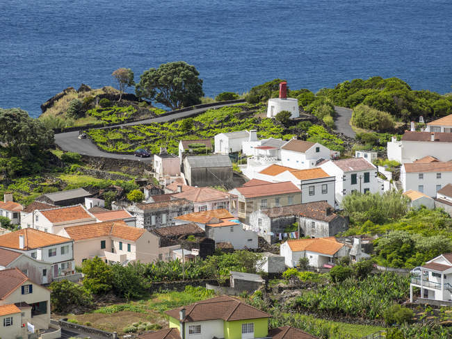 Dorfribeiras. pico island, eine Insel in den Azoren (ilhas dos acores) im Atlantik. die azoren sind eine autonome region portugals. europa, portugal, azoren — Stockfoto