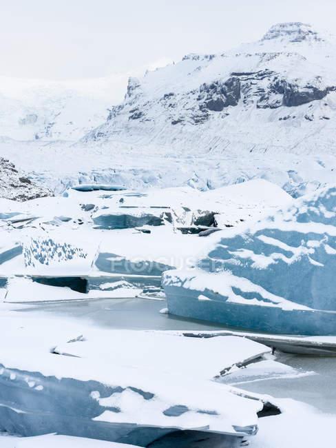 Glaciar Svinafellsjoekull em Vatnajoekull NP no inverno na Islândia. Glaciar frente e lago glacial congelado. Europa, Norte da Europa, Escandinávia, Islândia, Fevereiro — Fotografia de Stock