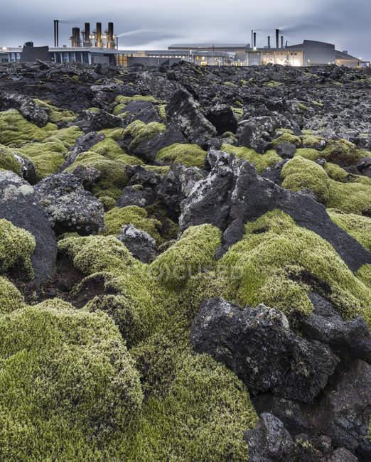 Centrale géothermique de Svartsengi sur la péninsule de Reykjanes en hiver. Europe du Nord, Scandinavie, Islande, février — Photo de stock