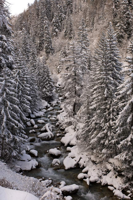 Rivière des Alpes, Val Ferret, Vallée d'Aoste, Italie — Photo de stock