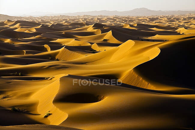 Desierto del Sahara, Norte de África, África - foto de stock