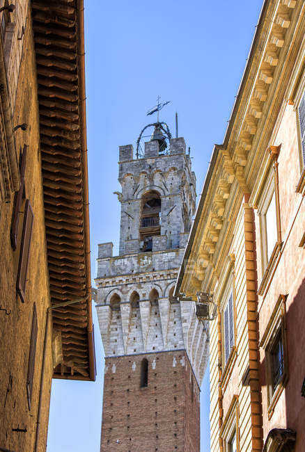 Вежа дзвіниці Piazza del Campo, Сієна, Тоскана, Італія, Європа — стокове фото
