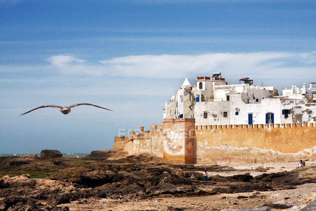 Stadtbild und portugiesische Mauer, Essaouira, Marokko, Nordafrika — Stockfoto