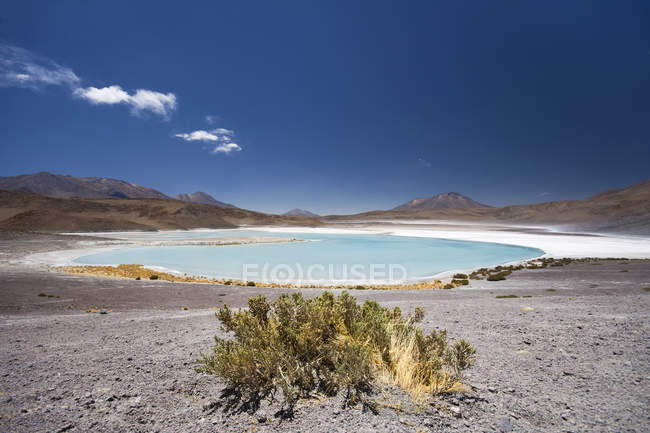 Laguna Hedionda, Riserva Nazionale della Fauna Andina di Eduardo Avaroa, Sud Lipez, Potos, Uyuni, Bolivia, Sud America — Foto stock