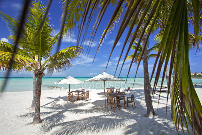 Playa Norte, Isla Mujeres, Quintana Roo, Yucatán, México, América - foto de stock