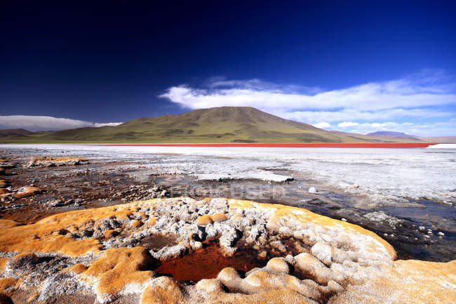 Reserva Nacional de fauna eduardo avaroa, Réserve nationale de faune andine Eduardo Avaroa, Uyuni, Potos, Bolivie, Amérique du Sud — Photo de stock