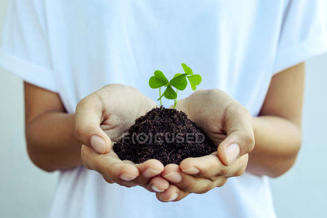 La chica sostiene la hoja de trébol. - Concepto de amor, esperanza y bien - foto de stock