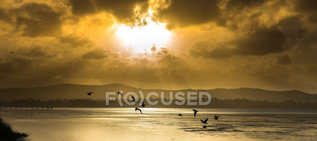 Riserva Long Jetty Foreshore — Foto stock