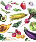 Variação de legumes frescos no fundo branco — Fotografia de Stock