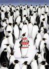 Penguin standing out from crowd and wearing patterned pullover — Stock Photo