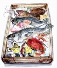Variação de peixe e frutos do mar na bandeja — Fotografia de Stock