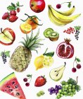 Variation of fresh fruits on white background — Stock Photo