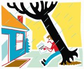 Mann lehnt an umgekipptem Baum an Haus und liest Versicherung — Stockfoto