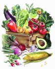 Variación de verduras frescas en cajón - foto de stock