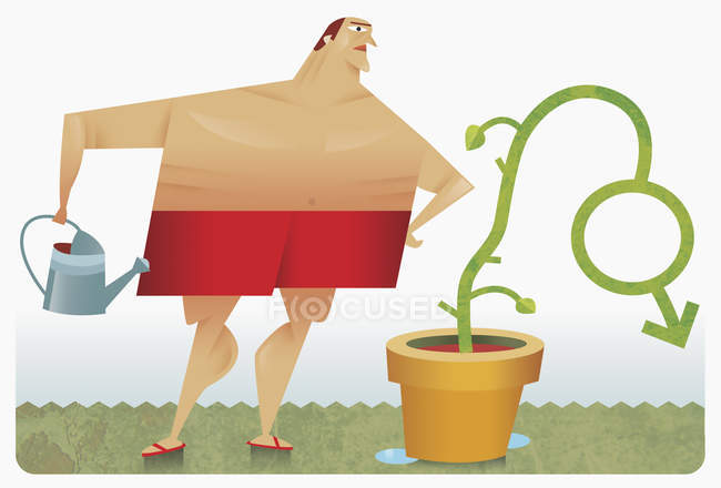 Людина поливає рослину у формі чоловічого символу — стокове фото
