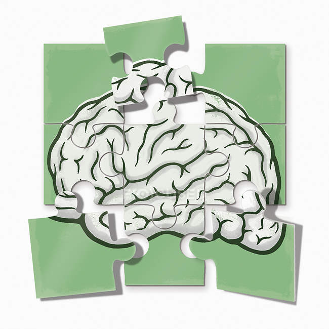 Jigsaw cérebro isolado em branco — Fotografia de Stock