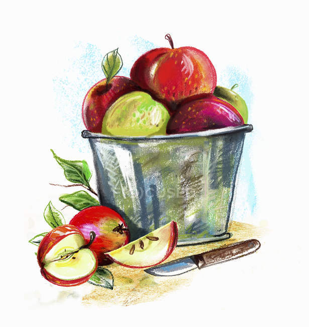 Manzanas maduras en cubo - foto de stock