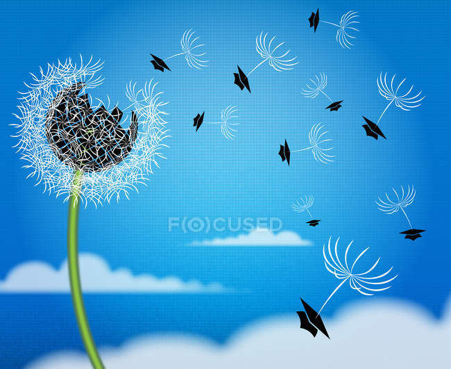 Mortarboards flying away on blowball seeds — Stock Photo